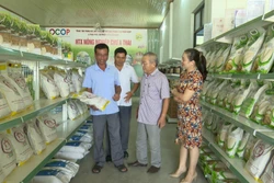 Gia Lai gỡ khó cho hợp tác xã nông nghiệp