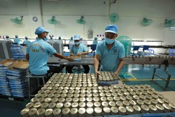Ứng dụng khoa học nâng cao giá trị yến sào Khánh Hòa