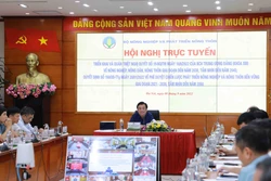 Đổi mới tư duy phát triển nông nghiệp, nông dân, nông thôn
