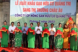 Quảng Trị xuất khẩu lô gạo hữu cơ đầu tiên sang châu Âu