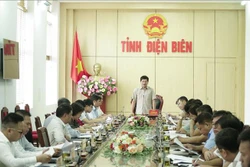 Bàn giải pháp gỡ khó cho các dự án trồng mắc ca ở Điện Biên