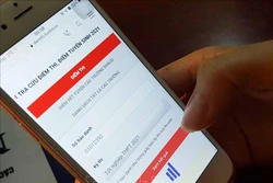 Thí sinh tra cứu điểm thi trên mạng ngay sau thời gian Bộ Giáo dục và Đào tạo công bố điểm. Ảnh: TTXVN