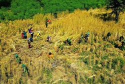 Sắt son tình quân - dân nơi biên giới tỉnh Gia Lai
