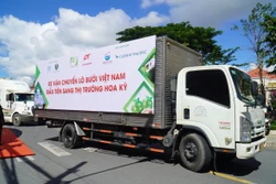 Xe vận chuyển lô bưởi đầu tiên xuất khẩu sang Hoa Kỳ. Ảnh: Công Trí - TTXVN