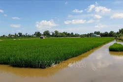 Bạc Liêu ứng dụng công nghệ trong phát triển nuôi trồng thủy sản
