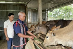 Gia Lai: Phát huy vai trò người có uy tín tại cộng đồng dân cư 