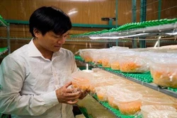 Thanh Hóa có thêm 38 sản phẩm được xếp hạng OCOP