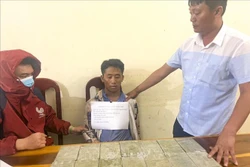 Bắt đối tượng Giàng A Thò mua bán, vận chuyển 14 bánh heroin