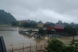 Các tỉnh miền núi phía Bắc chủ động ứng phó với thời tiết nguy hiểm