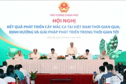 Thủ tướng Nguyễn Xuân Phúc: Cây mắc ca "đi sau nhưng phải về trước"