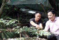 Thay đổi nếp nghĩ, cách làm, người Xơ Đăng vững tin hướng đến tương lai
