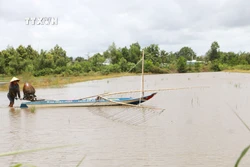 Sóc Trăng phát triển thủy sản nước ngọt, phát huy lợi thế vùng trũng