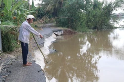 Tiền Giang: Bờ sông Ba Rày tiếp tục sạt lở nghiêm trọng