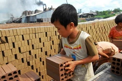 Tiếp tục hoàn thiện chính sách về phòng ngừa, giảm thiểu lao động trẻ em