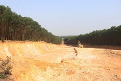 Quảng Trị: Khẩn trương làm rõ việc đào, lấy đất lâm nghiệp trái phép quy mô lớn