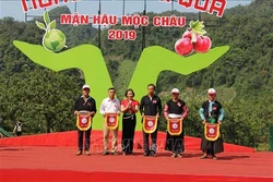 Rộn ràng Ngày hội hái quả vùng mận Mộc Châu
