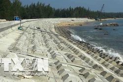 Bảo vệ đảo ngọc Tam Hải trước xâm thực của sóng biển
