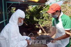 Bạc Liêu: Tăng cường phòng, chống một số bệnh truyền nhiễm và các bệnh không lây nhiễm phổ biến