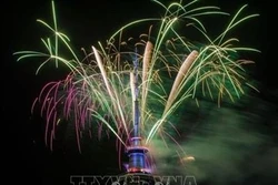 Không khí đón mừng Năm mới 2019 trên khắp thế giới