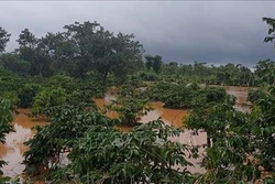 Mưa lũ tại các tỉnh Tây Nguyên đã làm 8 người chết với nhiều thiệt hại lớn