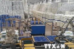 Chính phủ giao Bộ Nông nghiệp quản lý mặt hàng phân bón