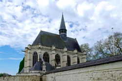 Champigny -sur-Veude - Hoa diên vĩ tinh khôi