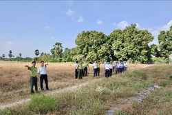 An Giang nâng cảnh báo cháy rừng lên cấp nguy hiểm