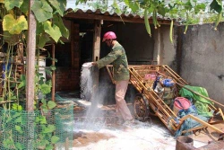 Quảng Trị phòng, chống dịch lở mồm long móng trên đàn gia súc