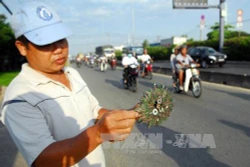 Công việc thầm lặng của người đàn ông "hút đinh” trên quốc lộ 1