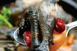 Nhớ lẩu gà đen Sa Pa
