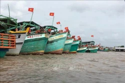"Tàu 67" nằm bờ vì không mua được bảo hiểm