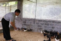 Chương trình 135 góp phần giảm nghèo cho đồng bào dân tộc thiểu số Yên Bái
