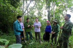 Thủ tướng Chính phủ ban hành Chỉ thị về phát triển bền vững
