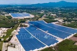 Nhà máy điện mặt trời đầu tiên tại Bình Định hòa lưới điện quốc gia