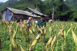 Làm giàu từ hai bàn tay trắng