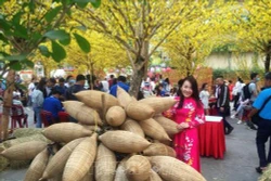 Thành phố Hồ Chí Minh: Rộn ràng các hoạt động chào mừng Xuân Kỷ Hợi 2019