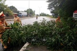 Ảnh hưởng bão số 5, mưa lũ cô lập huyện vùng cao Nam Trà My