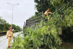 Lốc xoáy làm tốc mái hàng chục ngôi nhà tại Quảng Nam