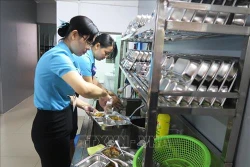 Thành phố Hồ Chí Minh "nói không" với rác thải nhựa - Bài 2