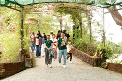 Du khách đến với huyện Phong Điền (thành phố Cần Thơ). Ảnh: Thu Hiền - TTXVN
