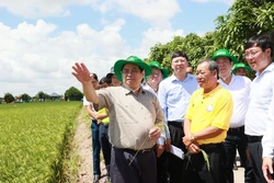 Thủ tướng Chính phủ Phạm Minh Chính đến khảo sát mô hình nông nghiệp công nghệ cao, sản xuất lúa và làm việc với Hợp tác xã dịch vụ nông nghiệp Thắng Lợi tại huyện Tháp Mười (Đồng Tháp). Ảnh: Dương Giang - TTXVN