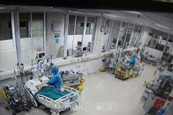 Việt Nam chỉ còn 45/268 ca mắc COVID-19 đang được điều trị, 3 bệnh nhân nặng có tiến triển