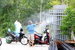 Bình Thuận đã xuất hiện dịch tả lợn châu Phi