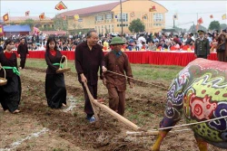 Phó Thủ tướng Trương Hòa Bình thực hiện nghi lễ cày tịch điền tại tỉnh Hà Nam