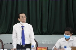 Phó Giáo sư, Tiến sỹ Trần Hoàng Ngân, Viện trưởng Viện Nghiên cứu phát triển Thành phố, phát biểu tại Hội thảo. Ảnh: Thu Hương - TTXVN