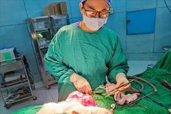 Bác sỹ Bệnh viện Nhi đồng 2 phẫu thuật loại bỏ dị vật cho bệnh nhi. Ảnh: TTXVN phát