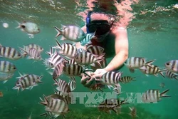 Giới thiệu, quảng bá điểm đến Quốc đảo Mauritius (Châu Phi)