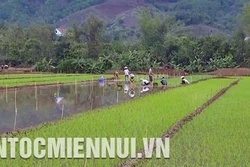 "Dân vận khéo” giúp người dân Mường La ổn định cuộc sống
