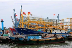 Hiệu quả từ những mô hình hiện đại hóa nghề cá ở Tiền Giang