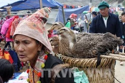 Vẫn còn khoảng cách về bình đẳng giới cho phụ nữ dân tộc thiểu số